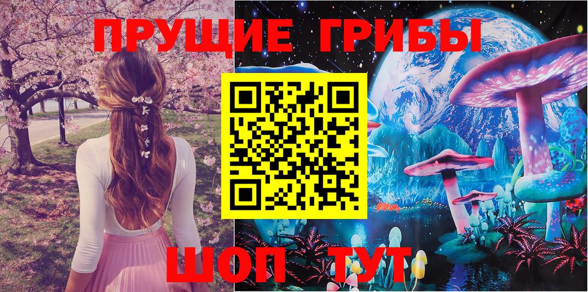 Всеволожск  Псилоцибиновые грибы Psilocybe  Псилоцибиновые грибы мицелий  Вход с VPN 